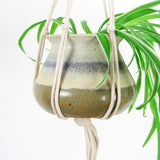 Copper Bottomed Plantenhanger bloempot