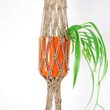 Crows nest plantenhanger bloempot 2