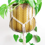 Double Rigged Plantenhanger bloempot
