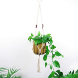 Foxy Lady plantenhanger