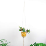 Minimal Mood Plantenhanger