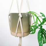 Piggy Tails Plantenhanger knoopwerk