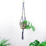 Piggy Tails Plantenhanger grijs Small