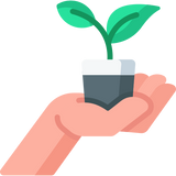Plant a tree