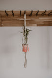 Copper Bottomed (Nieuw!)